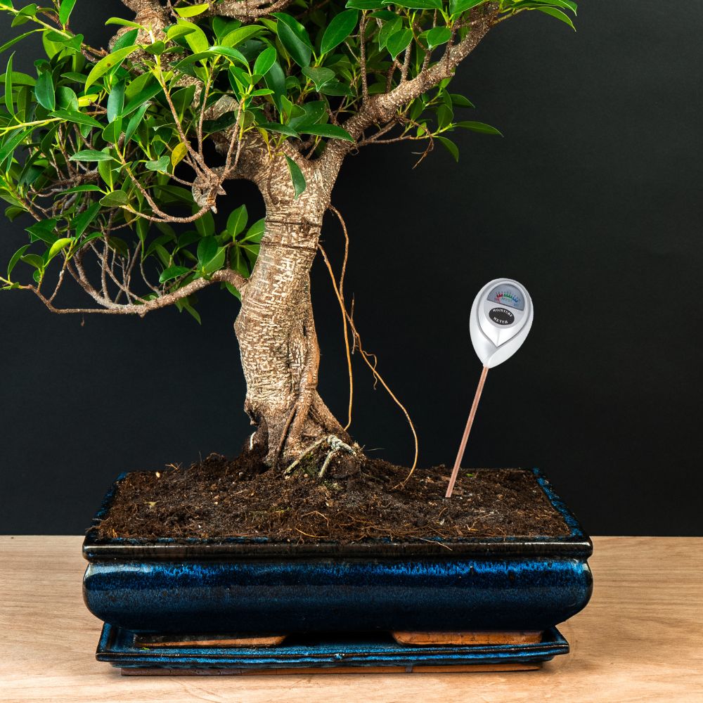 Grond vochtigheidsmeter