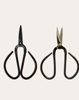 Small Bonsai Scissors